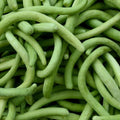 Dark Armenian Cucumber Seeds – Long Snake Serpent Vegetable, Cucumis sativus, 50+ Premium Seeds, Easy to Grow, USA Free Shipping