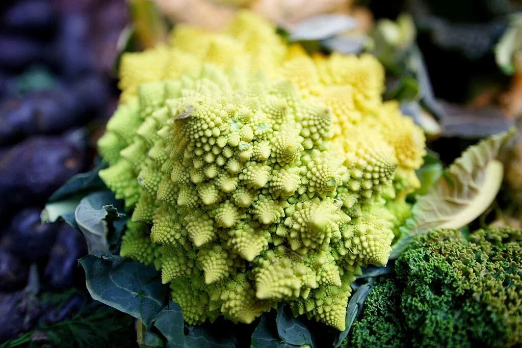 Romanesco Broccoli Seeds - 1000 Non-GMO Heirloom Seeds Brassica Oleracea Vegetable for Home Garden, Full Sun, USA Seller