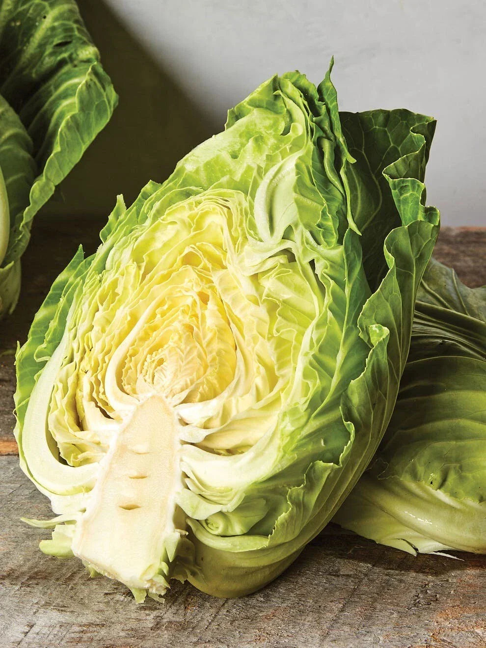 Early Jersey Wakefield Cabbage Seeds – Organic Heirloom Non-GMO Brassica oleracea, 250+ Seeds for Spring & Fall Gardening