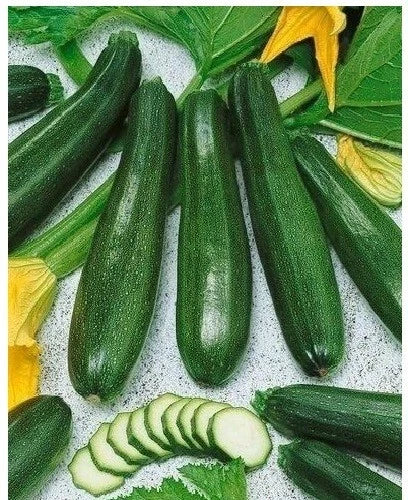 Black Beauty Zucchini Seeds - Heirloom Prolific Spineless Green Summer Squash - Cucurbita pepo, 20 Seeds