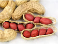Tennessee Red Peanut Seeds - Non-GMO Arachis hypogaea, 20 Seeds Packet, Bush-Type, Edible, Compact Growth, For Home Garden
