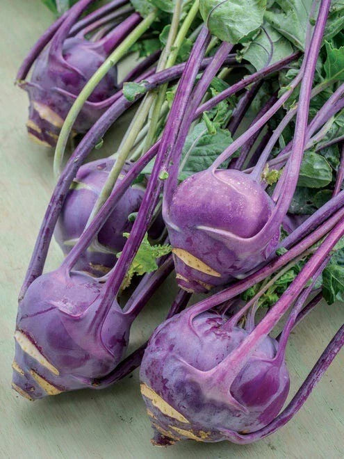 Purple Vienna Kohlrabi Seeds - Non-GMO Heirloom Vegetable Seeds for Garden, Brassica oleracea