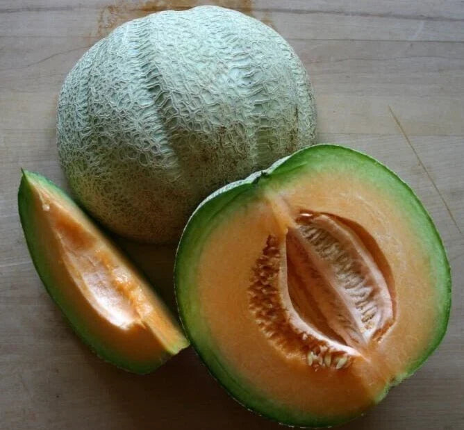 Sweet Italian Melon Seeds - Heirloom Cucumis melo - 20 Premium Fresh Seeds for Home Garden, Container, or Raised Bed Cultivation