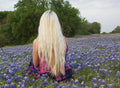 Texas Bluebonnet Seeds - Perennial Wildflower Seeds for Gardens - Lupinus texensis - Native Texas Flowering Plants