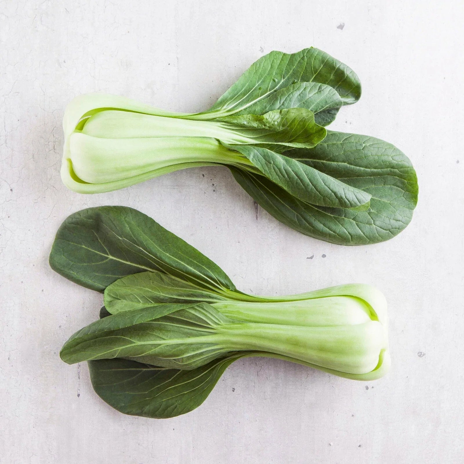 Chinese Cabbage Pak Choi Seeds 200+ Heirloom Brassica rapa subsp. chinensis for Vegetable Gardening