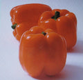Sweet Horizon Orange Pepper Seeds – Capsicum annuum, 25 Seeds for Container & Garden Growth