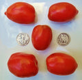 Amish Paste Tomato Seeds - Heirloom, Sauce & Canning, 25 Pack, Solanum lycopersicum, Disease-Resistant, Non-GMO