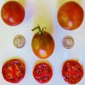 Black Prince Tomato Seeds - Heirloom Slicer Variety, Dark Reddish-Brown Fruit, Solanum lycopersicum, 25 Seeds