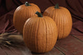 Pumpkin Seeds - Mr. Wrinkles Variety - Non-GMO Cucurbita pepo for Planting, Vining, Full Sun, Pack of 20 Seeds