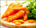 Tendersweet Carrot Seeds - 250 Non-GMO Heirloom Daucus carota for Home Gardening and Vegetable Cultivation