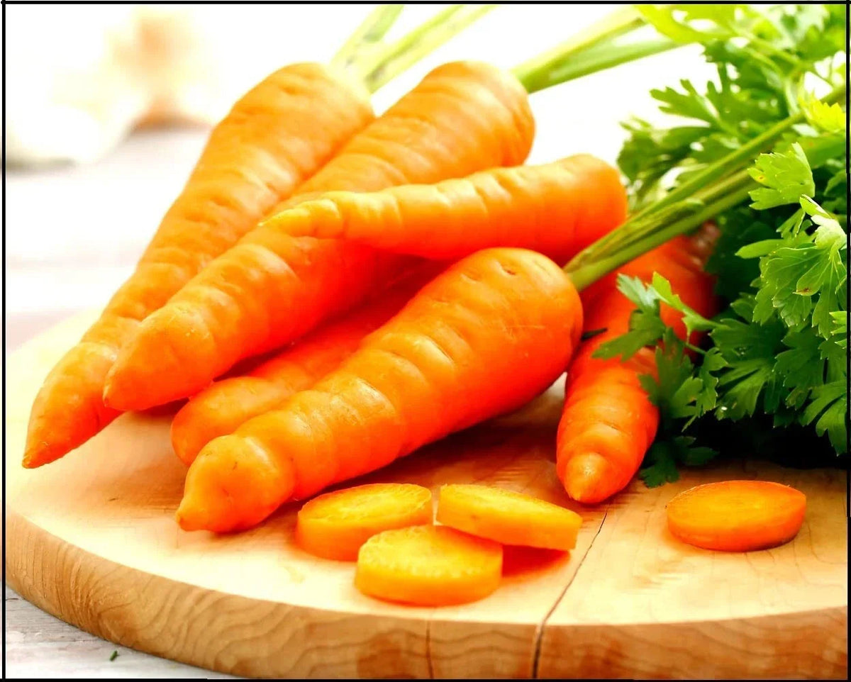 Tendersweet Carrot Seeds - 250 Non-GMO Heirloom Daucus carota for Home Gardening and Vegetable Cultivation