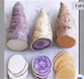Sweet Potato Slips 15 Count - Beauregard, Japanese Red, Okinawa Varieties for Planting