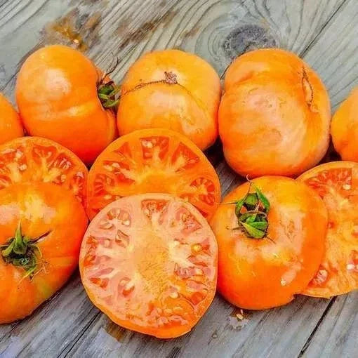 Amana Orange Tomato Seeds - Organic Heirloom, Solanum lycopersicum, 120+ Juicy, Sweet, Orange Tomatoes for Garden & Container