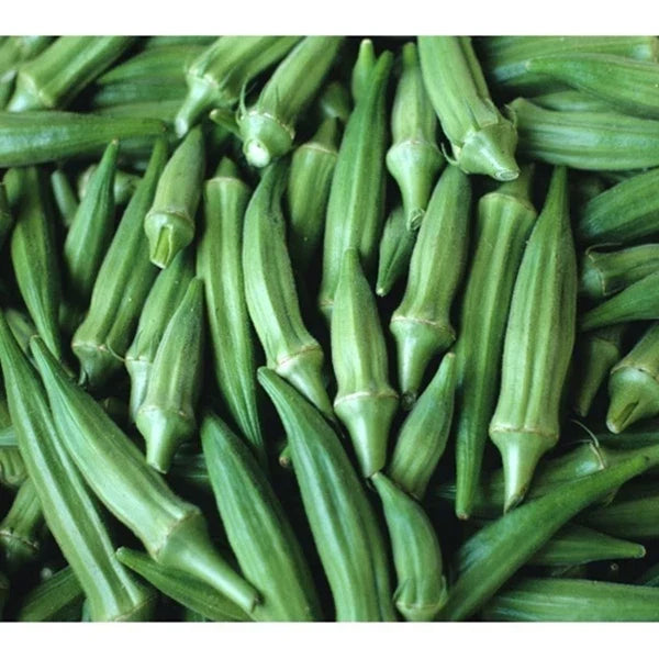 Clemson Spineless Okra Seeds – Heirloom Vegetable Seeds for Home Garden, Abelmoschus esculentus, Bountiful Harvest