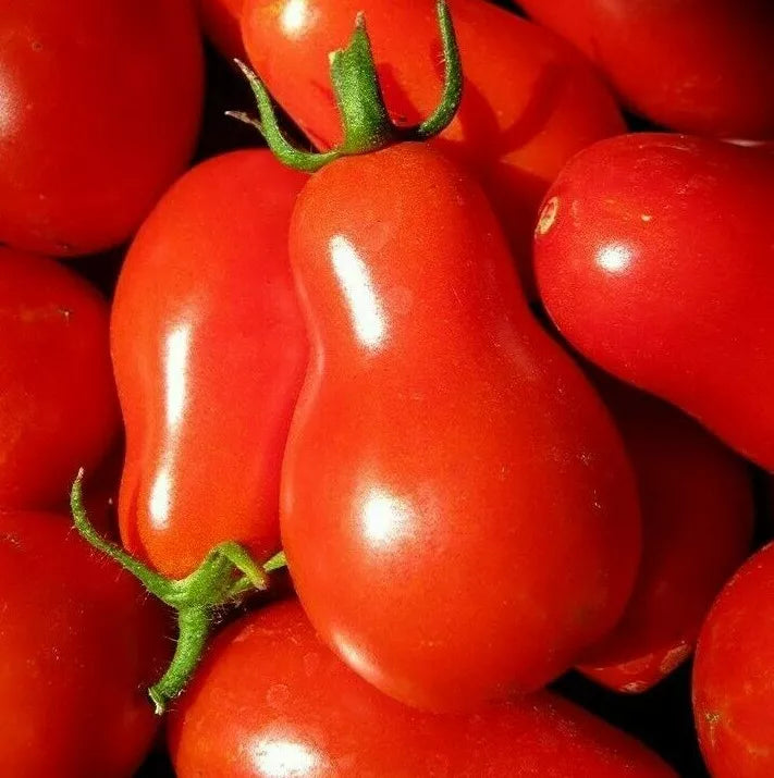 Red Pear Tomato Seeds - Non-GMO, Indeterminate, Pear-Shaped, Solanum lycopersicum, for Garden, Salad & Sauce