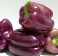 Sweet Lilac Bell Pepper Seeds - 30 Non-GMO Heirloom Capsicum annuum for Garden, Pots, and Fresh Cooking