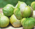 Tomatillo Seeds 100 Count - Toma Verde Non-GMO Open Pollinated for Home Gardening & Salsa - Physalis philadelphica