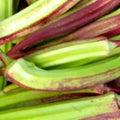 Hill Country Red Okra Seeds | Non-GMO Heirloom Abelmoschus esculentus | Garden Seeds for Full Sun, Bountiful Harvest