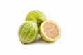 Variegated Pink Lemon Seeds - Pack of 5+ Citrus limon Variegated Fruit Tree for Garden Planting, Container Gardening, USA Fast Shipping