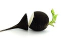 Black Radish Seeds - 250+ Raphanus sativus Vegetable Seeds for Planting, Cool-Season Crop