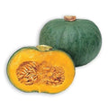 Blue Kuri Squash Seeds - 10 Pack, Cucurbita maxima, Heirloom Variety, Vining Plant for Home Garden, Ships from Iowa