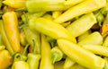 Yellow Hot Jalapeno Pepper Seeds - NON-GMO Caloro Variety, Capsicum annuum, Bright Yellow, Medium Heat, Bushy Plant, Free Shipping