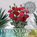 Lisianthus Seeds - Cherry Equinox Variety - Non-GMO Heirloom - Eustoma grandiflorum
