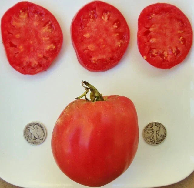 Hungarian Heart Tomato Seeds - Heirloom Oxheart Variety - 25 Non-GMO Seeds for Juicy, Large, Heart-Shaped Tomatoes
