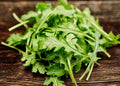 Arugula Lettuce Seeds - 15 Pack, Fast-Growing Leafy Greens, Eruca sativa, Non-GMO, Perfect for Salads & Container Gardening