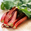 Victoria Red Rhubarb Seeds - 50 Pack, Perennial, Easy to Grow, Rheum rhabarbarum, Red Stalks, Garden Planting