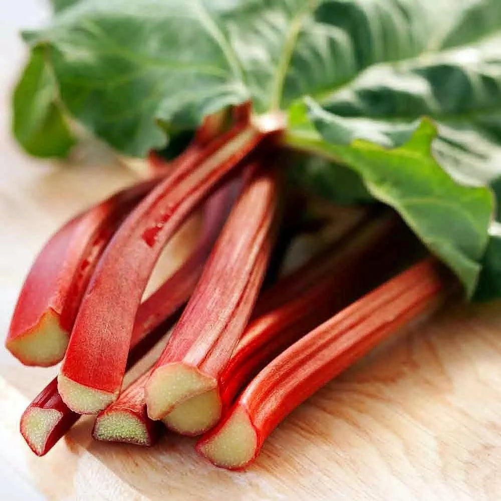 Victoria Red Rhubarb Seeds - 50 Pack, Perennial, Easy to Grow, Rheum rhabarbarum, Red Stalks, Garden Planting