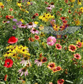 Wildflower Seed Mix - 200+ Heirloom Native Flower Seeds for Pollinator Gardens - Non-GMO, Midwest Grown Seed Packet