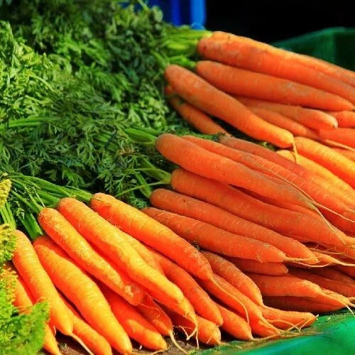 Tendersweet Carrot Seeds - Organic Non-GMO Heirloom Daucus carota, 1000+ Seeds for Home Garden, Raised Beds & Containers