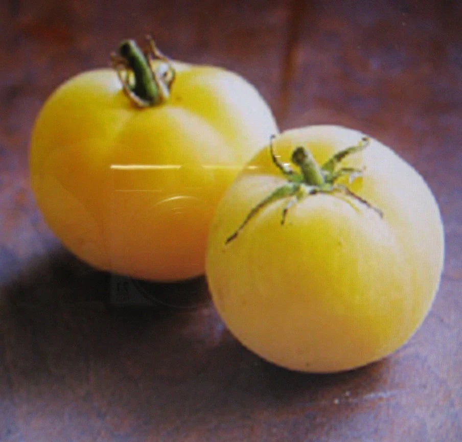 Garden Peach Tomato Seeds – Heirloom Solanum lycopersicum, Sweet Peach-colored Fruits, Non-GMO, 25 Seeds