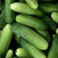 Marketmore 76 Cucumber Seeds – Non-GMO Vegetable Seeds for Planting, Cucumis sativus, Vining, Full Sun, 100 Seeds