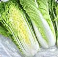 Chinese Michihili Cabbage Seeds - 1000 Non-GMO Organic Open Pollinated Brassica rapa var. parachinensis