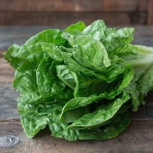 Parris Island Lettuce Seeds – 1500 Non-GMO Heirloom Lactuca sativa for Home Gardening, Salad Greens, Easy to Grow