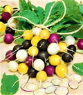 Halloween Mix Radish Seeds - 100+ Non-GMO Raphanus sativus Seeds for Fall Planting, Colorful Radish Variety, Easy to Grow