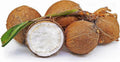 Sprouted Coconut Fruit - Organic Costa Rican Cocos nucifera, Tropical Flavor, Fresh, Certified, Ideal for Landscaping or Indoor Use