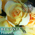Lemon Glow Begonia Seeds - Non-GMO Flower Seeds for Indoor & Outdoor Gardening - Begonia x tuberhybrida
