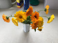 Calendula Seeds - Various Colors & Forms - Calendula officinalis Flower Seeds for Garden, Borders, Pollinators