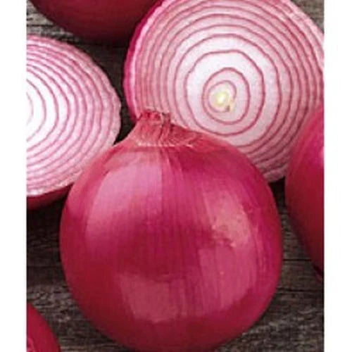 Red Grano Onion Seeds - 310 Count, Allium cepa, Early Sweet Variety, Bulb-Forming, Full Sun, Non-GMO, Garden & Culinary Use