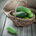 Spacemaster Cucumber Seeds – Non-GMO Heirloom, Compact Bush-Type, Cucumis sativus, 80 Seeds for Small Gardens & Container Growing