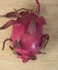 Taiwan Mibao Dragonfruit Cutting - Fresh Hylocereus undatus Pitaya Plant - Climbing Cactus for Indoor & Garden Growth