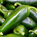 Tam Jalapeno Pepper Seeds - Non-GMO Heirloom, Spicy Green Peppers, Capsicum annuum, Compact Bushy Plant, 25 Seeds