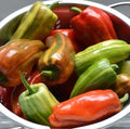Candy Cane Red Cherry Pepper Seeds - Capsicum annuum, Compact Plant, Striped Red & Cream, 10 Seeds for Planting