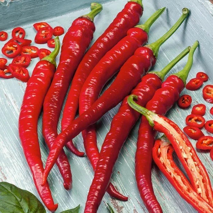 Cayenne Hot Pepper Seeds - Long Slim Variety, Organic, Non-GMO, Heirloom, Capsicum annuum, 200+ Seeds