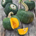 Burgess Buttercup Squash Seeds – Heirloom Cucurbita maxima for 2025 planting, 20+ premium seeds, vining, sweet flavor, organic, non-GMO