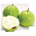 Guava Seeds 15 Pack White Tropical Fruit Psidium Guajava Edible Guayaba Plant for Garden or Patio