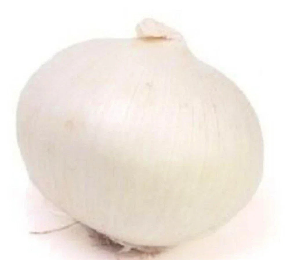 Eclipse L303 Onion Seeds - Non-GMO Heirloom Allium cepa Garden Seeds for Growing Onions
